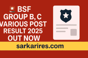 BSF Group B, C Various Post Result 2025 – Out Now